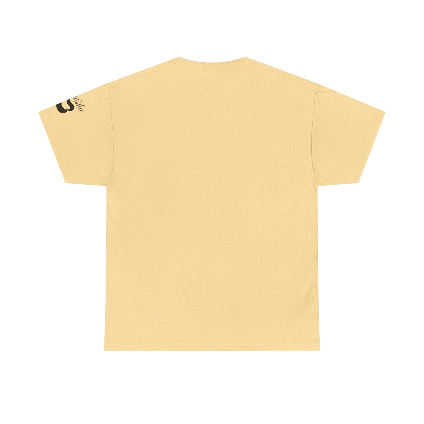 Imishu Heavy Cotton 2nd Opinion Tee - Imishu