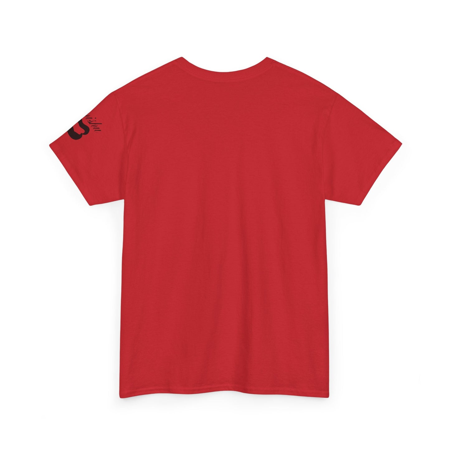 Imishu Heavy Cotton 2nd Opinion Tee - Imishu