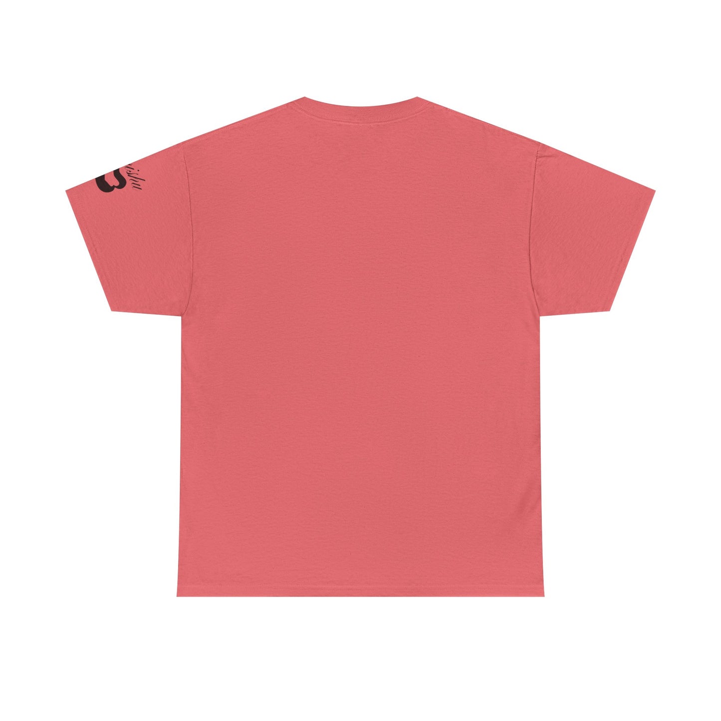 Imishu Heavy Cotton 2nd Opinion Tee - Imishu
