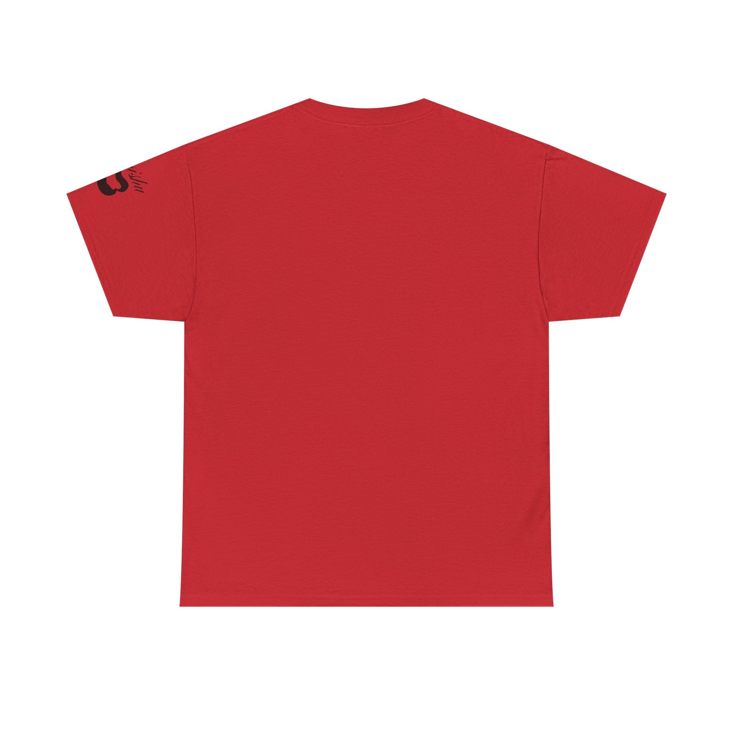 Imishu Heavy Cotton 2nd Opinion Tee - Imishu
