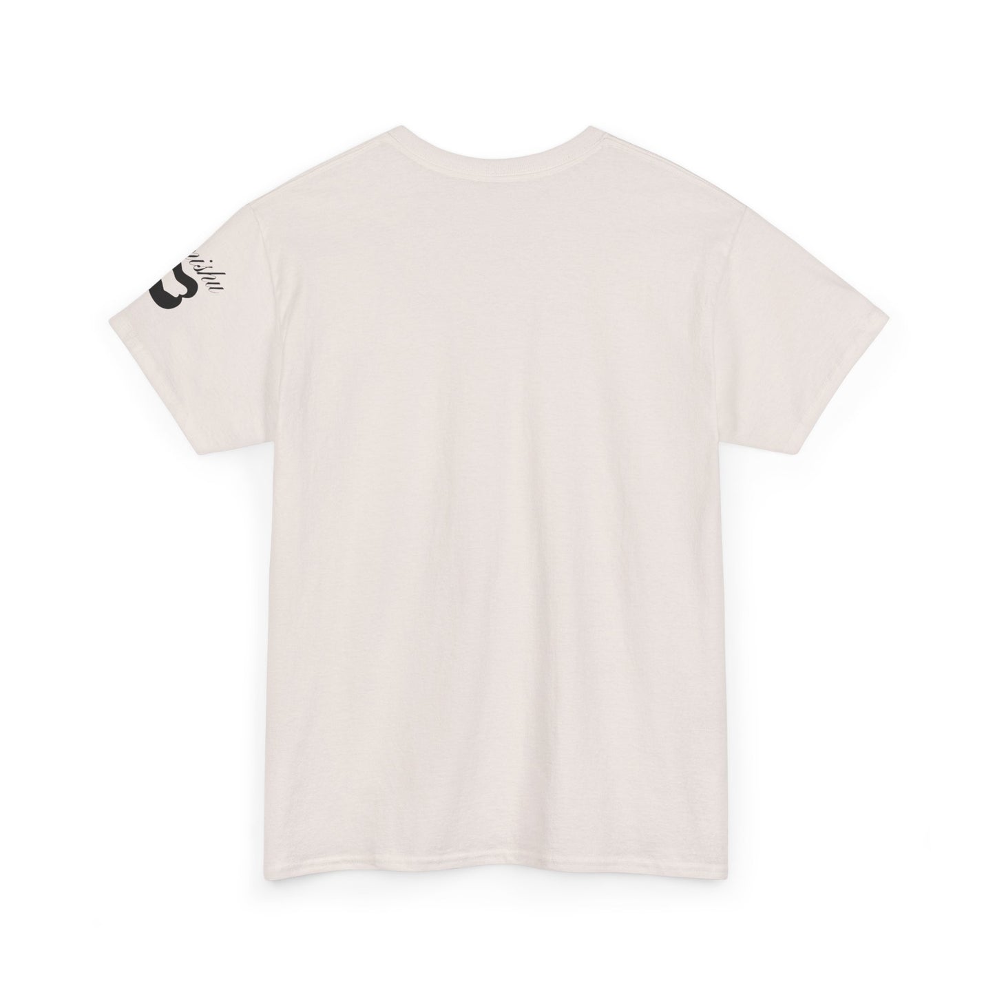 Imishu Heavy Cotton 2nd Opinion Tee - Imishu