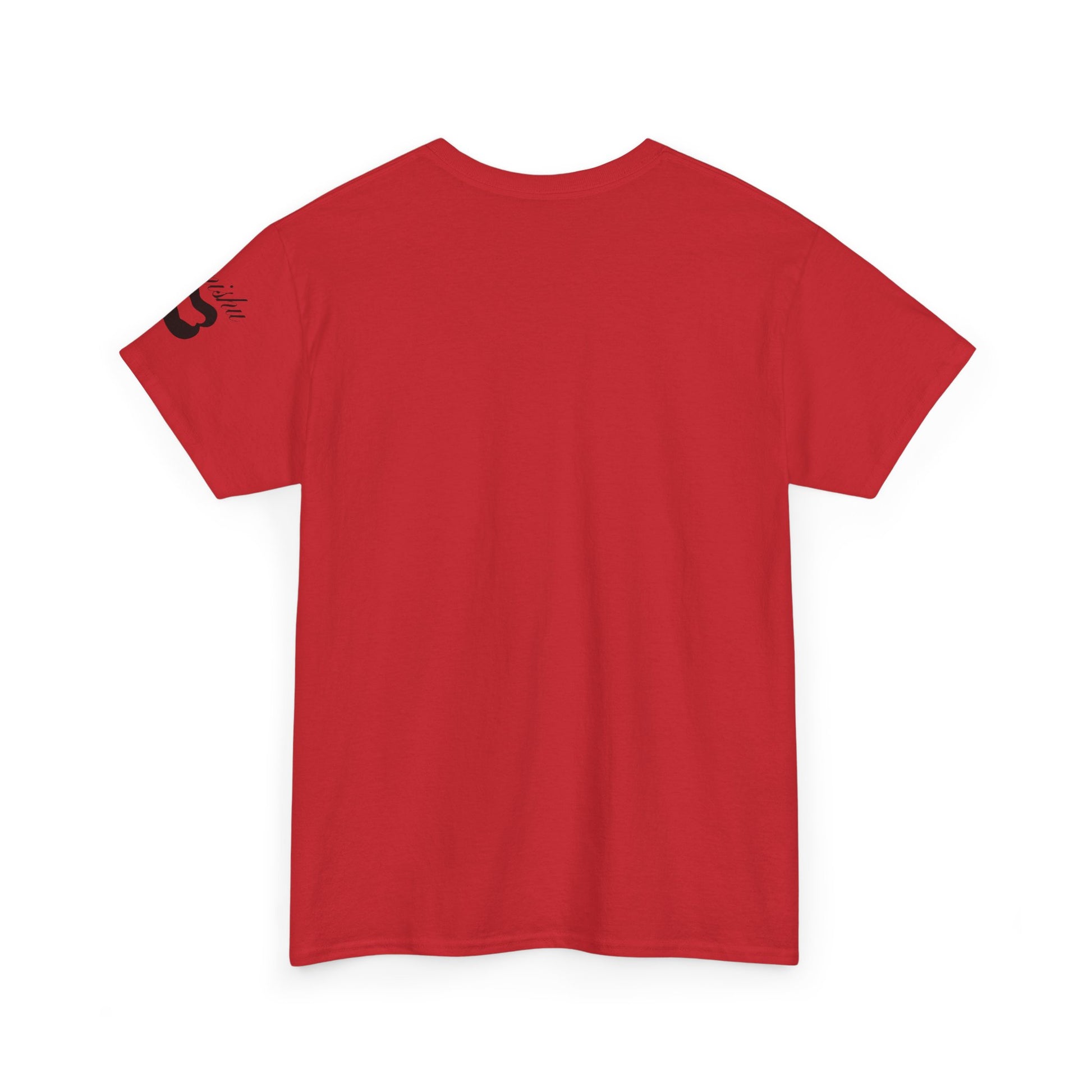Imishu Heavy Cotton 2nd Opinion Tee - Imishu