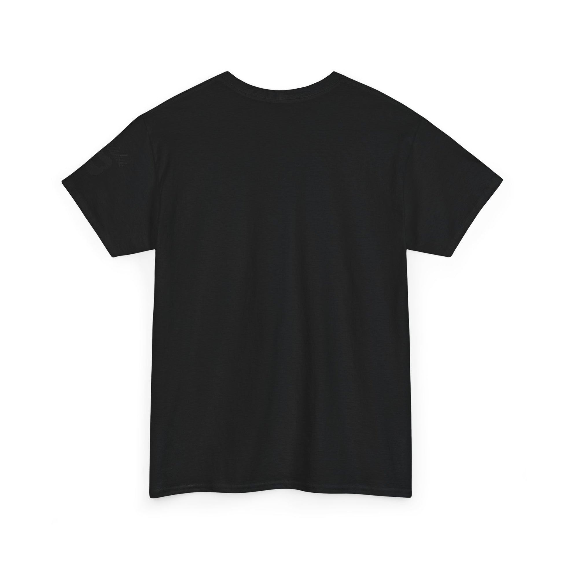 Imishu Heavy Cotton 2nd Opinion Tee - Imishu