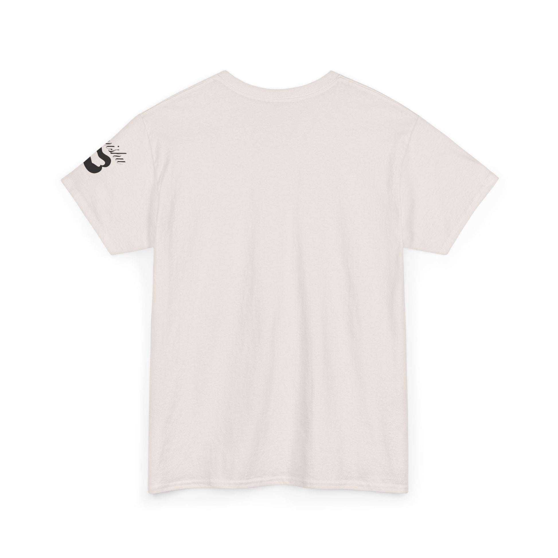 Imishu Heavy Cotton 2nd Opinion Tee - Imishu