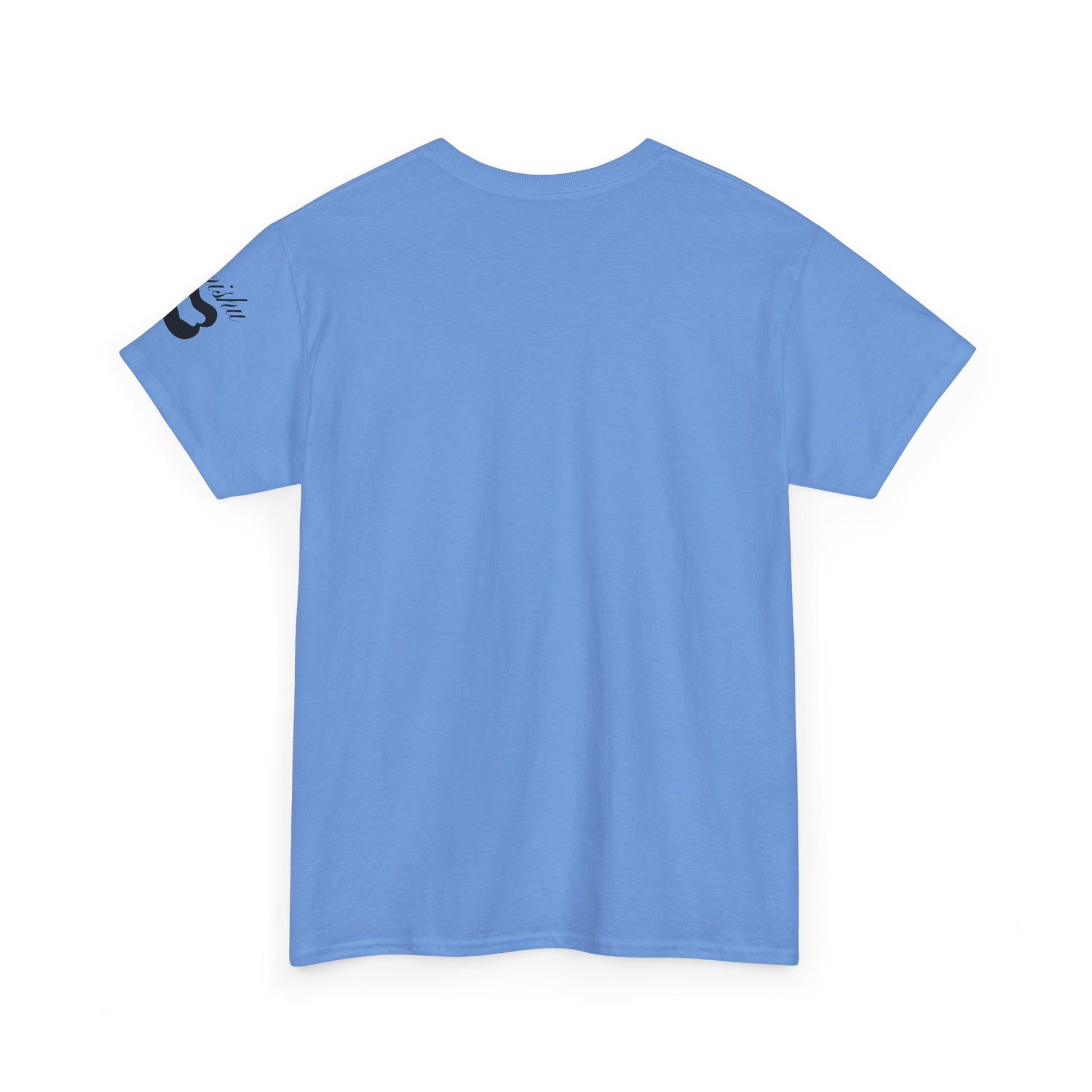 Imishu Heavy Cotton 2nd Opinion Tee - Imishu