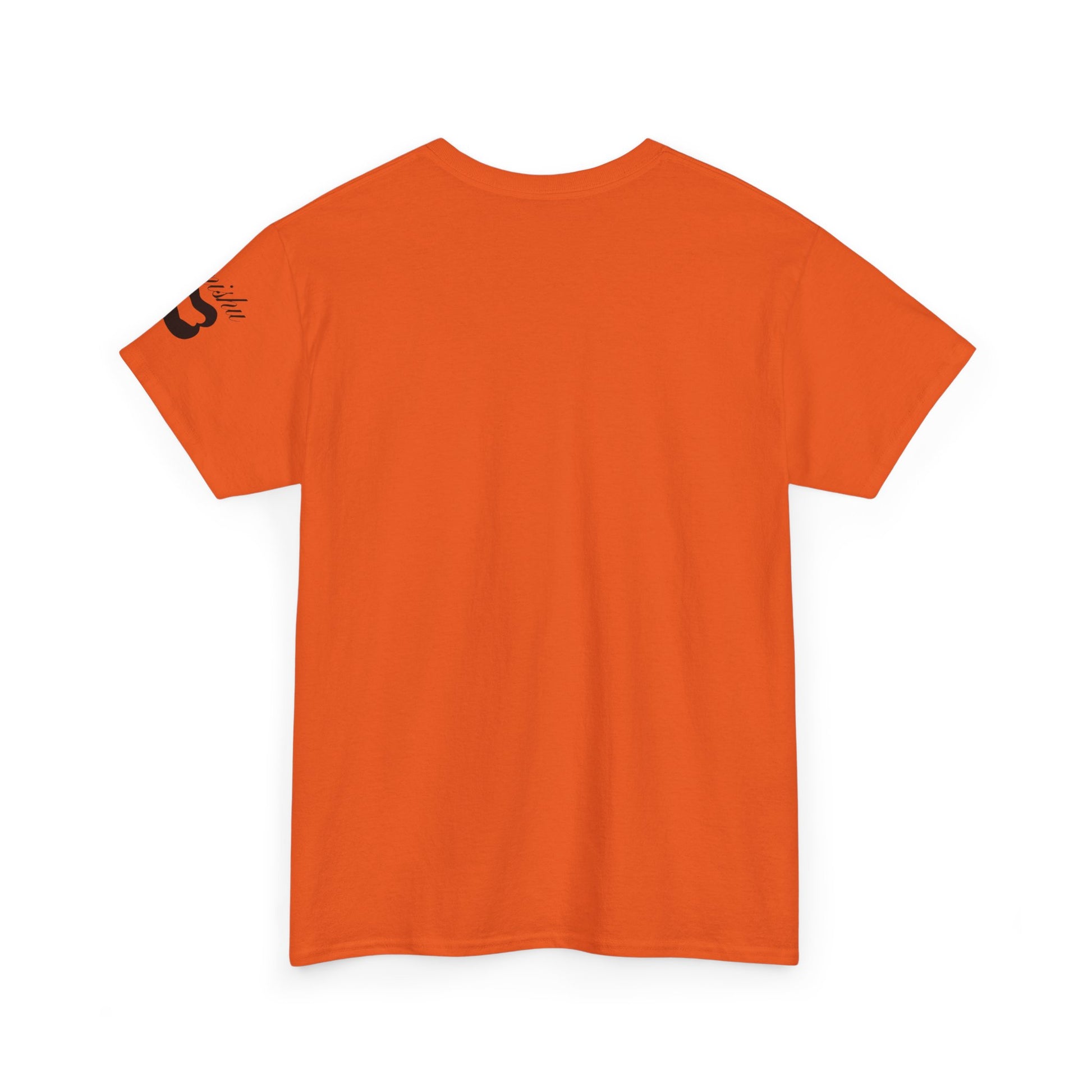 Imishu Heavy Cotton 2nd Opinion Tee - Imishu