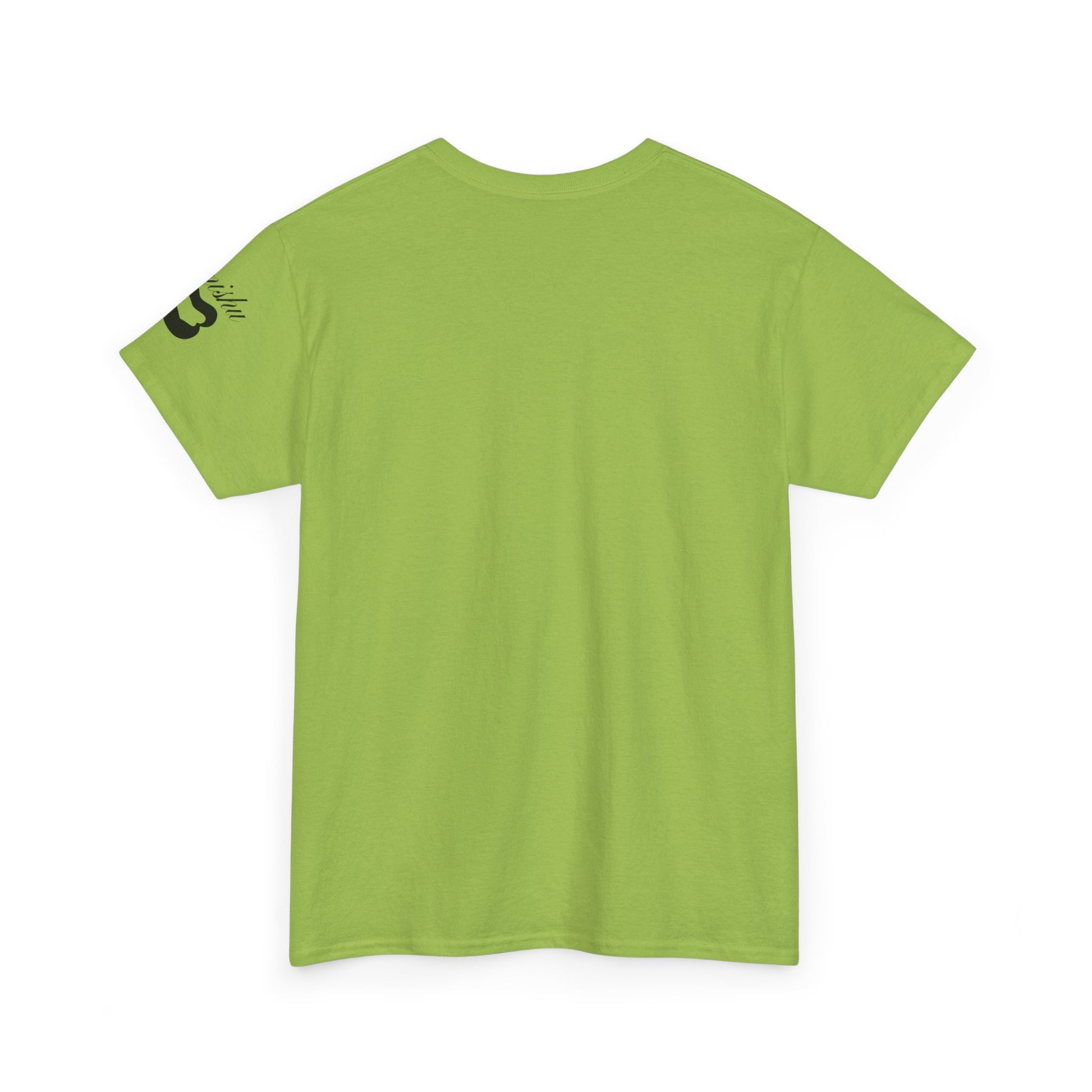 Imishu Heavy Cotton 2nd Opinion Tee - Imishu