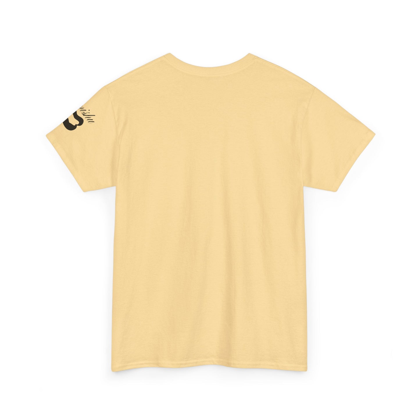 Imishu Heavy Cotton 2nd Opinion Tee - Imishu