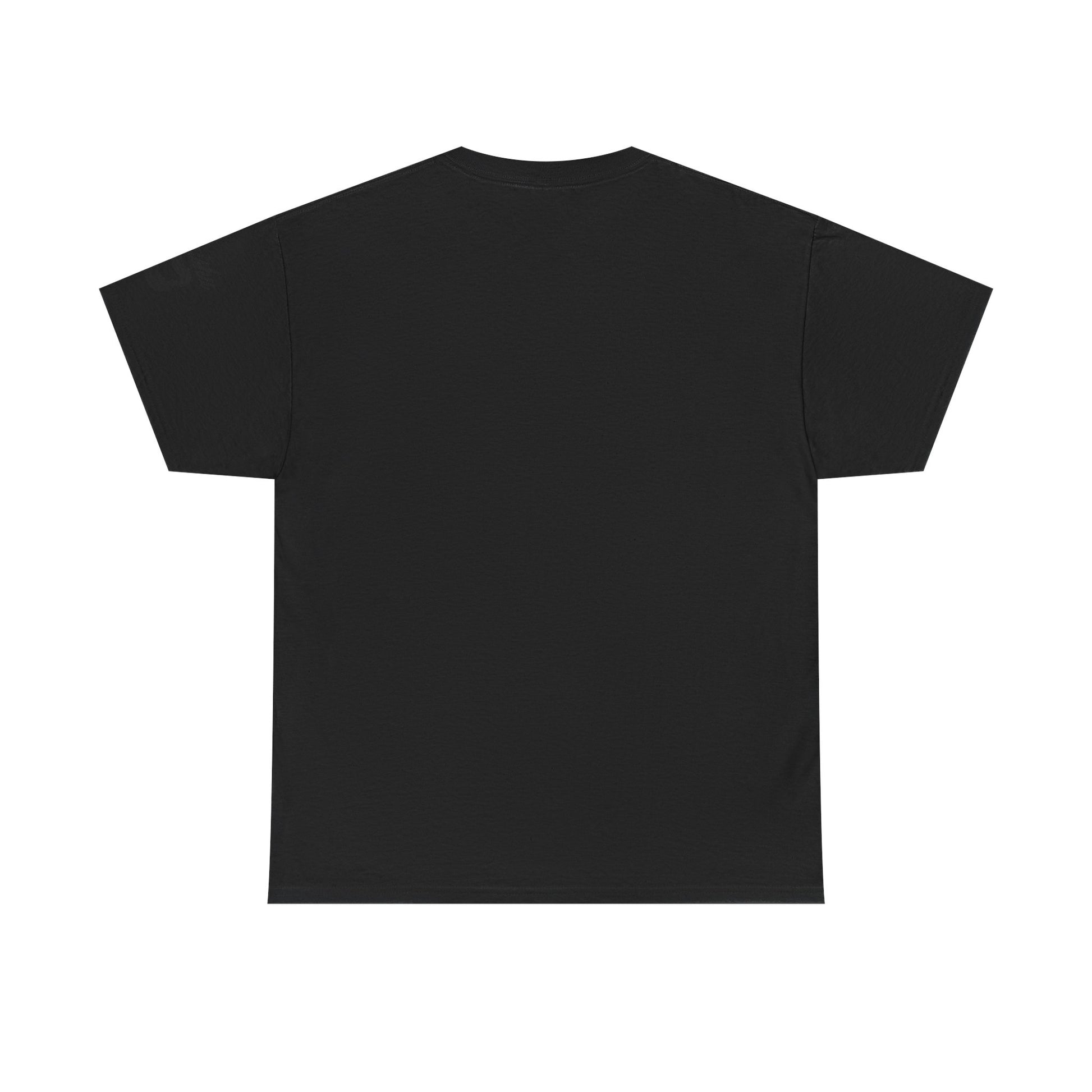 Imishu Heavy Cotton 2nd Opinion Tee - Imishu
