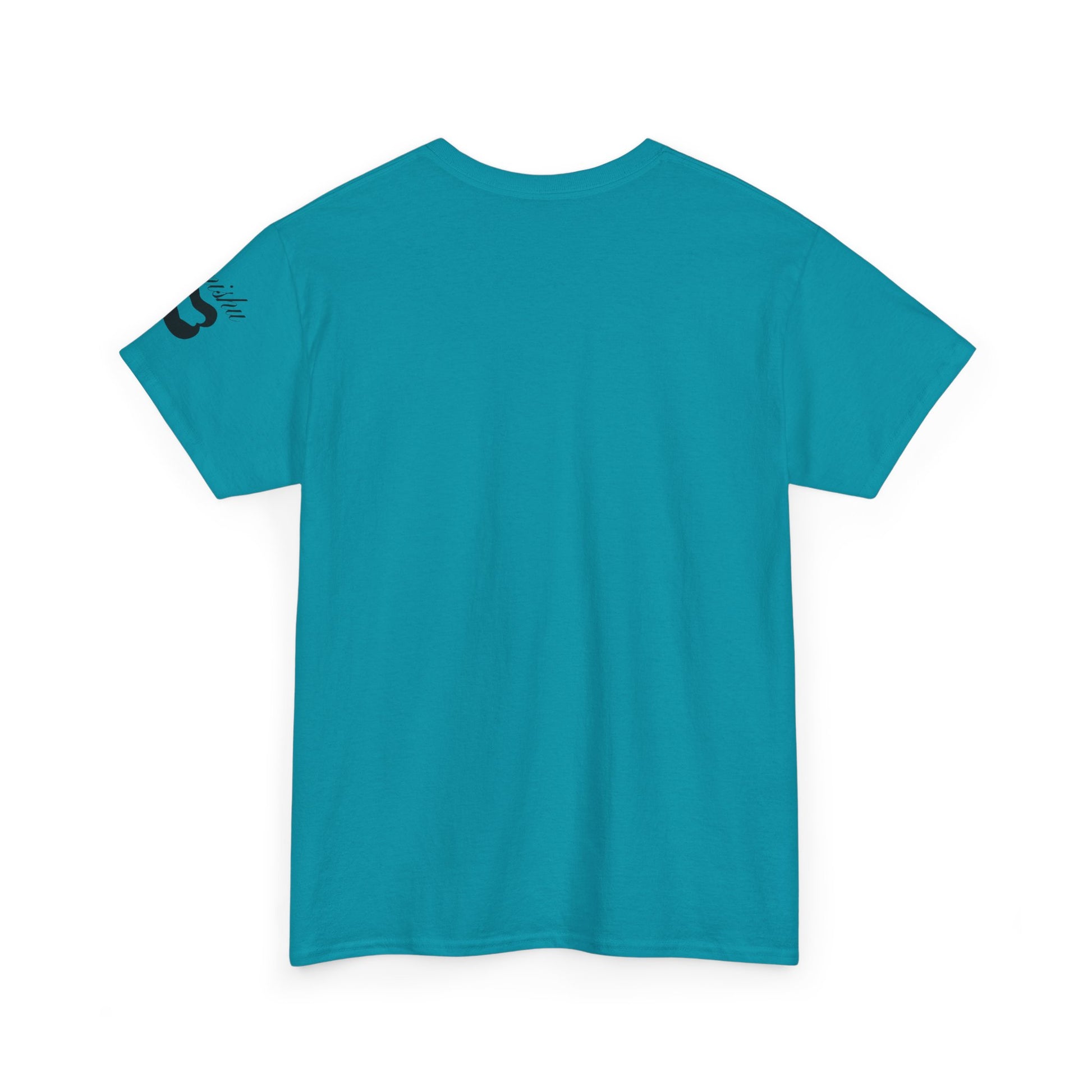 Imishu Heavy Cotton 2nd Opinion Tee - Imishu